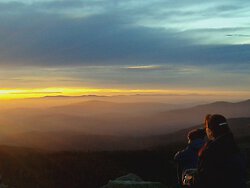 Auf "tierisch wilder Safari" im Nationalpark Bayerischer Wald